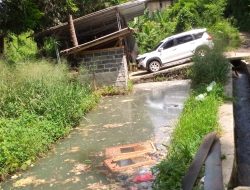 pemotongan ayam Diduga cemarkan lingkungan kades dan muspika cijeruk tutup mata