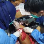 Diduga Kelalaian pihak sekolah,satu nyawa melayang pasca keributan Siswa di SMAN 1 Gunung Labuhan.