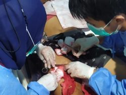 Diduga Kelalaian Pihak Sekolah, Satu Nyawa Melayang Pasca Keributan Siswa di SMAN 1 Gunung Labuhan.