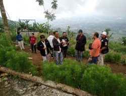 Perusakan Bendera Merah-Putih Disaung Bersama Ipwl Gmdm Bakornas Memasuki Babak Baru