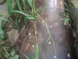 warga keluhkan pembuangan limbah di duga dari perumahan pasangrahan