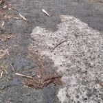 Kepala Desa Sukajaya Saling Lempar Permasalahan Pembangunan Jalan Hotmix Yang Rusak Parah Kepada TPK