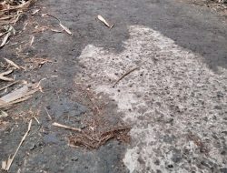 Kepala Desa Sukajaya Saling Lempar Permasalahan Pembangunan Jalan Hotmix Yang Rusak Parah Kepada TPK