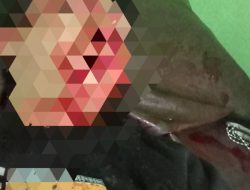 Pengendara Sepeda Motor Hilang Kendali Dan Terkapar Setelah Menyalip Truk Engkel