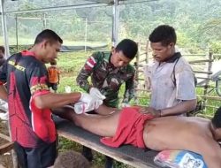 Tragis Masyarakat Luka-Luka Diserang Babi Hutan, Satgas YONIF 126/KC Berikan Pertolongan