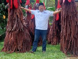 Sambut HUT RI, Kades Sumurugul Bersama Semua Elemen Masyarakat Membuat Karya Seni Si Jago