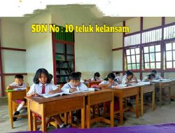 SD Negeri 10 Teluk Klansam Sampai Sekarang Kondisinya Memprihatinkan 