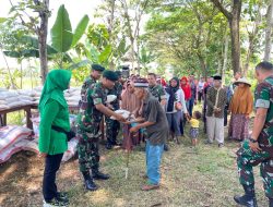 Yonif Raider 300/Bjw Melaksanakan Panen Raya Padi Bersama Warga Desa Binaan