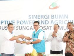 Beralih Gunakan Listrik PLN dengan Total Daya 11,5 MVA PTPN XIII Optimis Hemat Milyaran Rupiah Per Bulan