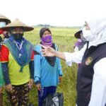 NTP Petani Jatim Mengalami Kenaikan, Khofifah Harap Kesejahteraan Petani Dapat Terus Meningkat