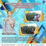 Sukseskan Program Ketahanan Pangan Binaan Polsek Muara Batu Polres Lhokseumawe