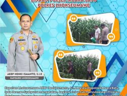 Sukseskan Program Ketahanan Pangan Binaan Polsek Muara Batu Polres Lhokseumawe