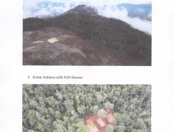 Mengulas Fakta Hasil Invastigasi DLHK Konut, Terkait Dugaan Pelanggaran KSO Basman