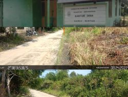 Inspektorat Belum Laporan Ke APH Temuan Kerugian Negara Didesa Danau Buntar