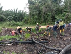 Satgas Pamtas RI-Malaysia Yonarmed 19/105 Trk Bogani Bantu Masyarakat Tanam Padi Di Perbatasan