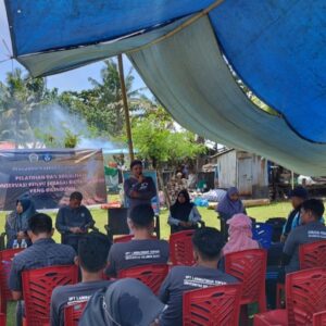 Dukung Konservasi Penyu sebagai Hewan yang Dilindungi, Universitas Sulawesi Barat Gelar Sosialisasi