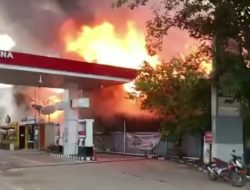 BREKING NEWS : Sijago Merah Megamuk di Sekitar SPBU Bundaran Kota Baru