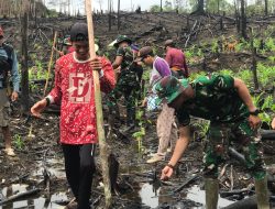 Wujud Nyata Kepedulian TNI Kepada Masyarakat, Personel Satgas Pamtas Yonarmed 19/105 Trk Bogani Bantu Warga Menanam Padi Di Perbatasan