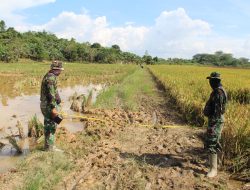 Tampa Kenal Lelah Kasdim 0906/Kutai Kartanegara dan Tim Lakukan Peninjauan Di Desa Bukit Pariaman
