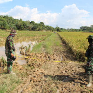 Tampa Kenal Lelah Kasdim 0906/Kutai Kartanegara dan Tim Lakukan Peninjauan Di Desa Bukit Pariaman