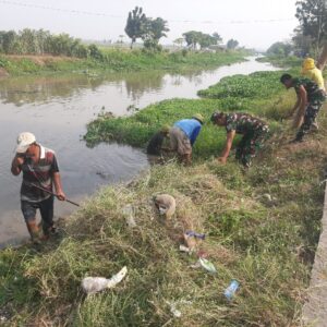 Jelang Musim Penghujan Babinsa Koramil 13 Kedungwaringin Ngubek di Bantaran Sungai