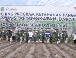 TNI AD, PHR dan Poktan Suku Sakai Bersinergi Dukung Ketahanan Pangan Nasional