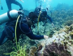 Pejabat Utama Kormar Menyelam di Pulau Tegal Mas