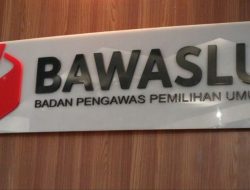 Bawaslu RI ke Brazil…!, Sama Sekali Tidak Tepat Waktu, Pemborosan Uang Negara Dan Tidak Produktif