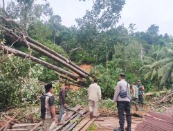 Tim Gabunhan TNI/Polri Dibantu Warga Dusun Telok Air Bahu Membahu Evakuasi Korban Tanah Longsor