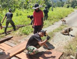 Memperlancar Akses Perekonomian Warga Papua, Satgas Pamtas Yonif 711/Rks Bantu Bangun Jembatan