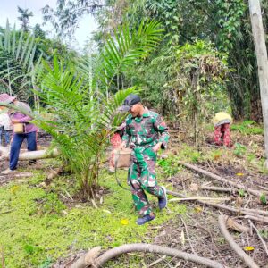Satgas Pamtas RI-MLY Yonif 645/Gty Ikuti Tradisi Nugal Turun Temurun Suku Dayak