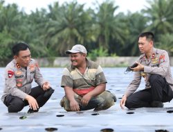 Manfaatkan Lahan Tidur, Kapolda Sumut Gagas Perkebunan Cabai dan Bawang