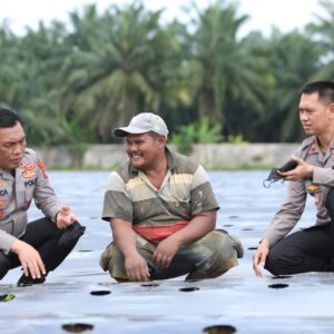Manfaatkan Lahan Tidur, Kapolda Sumut Gagas Perkebunan Cabai dan Bawang