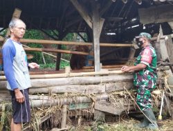 Peduli Kesehatan Hewan Ternak, Babinsa Koramil Doko Cek Hewan Ternak Warga Binaannya
