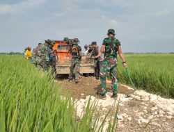 Memasuki Musim Hujan Satgas TMMD ke 115 Kabupaten Bekasi Genjot Pengerjaan Pengecoran Jalan di Desa Kertajaya