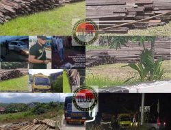 Polda Kalbar Berhasil Menangkap Bos Kayu Ilegal Melawi Aliansi Tindak Indonesia Memita Kawal Kasus Tersebut Sampai Ke Pengadilan