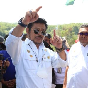 BPS: Tahun 2022, Produksi Padi Diperkirakan Meningkat 1,25 Juta Ton