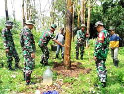 Pangdam III/Siliwangi Tinjau Hasil Uji Produktifitas Karet Di PTPN VIII Miramare Garut Selatan Menggunakan Bios 44 DC