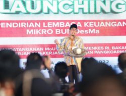 Raih Status Desa Mandiri Terbanyak, Khofifah Terima Penghargaan dari Mendes PDTT