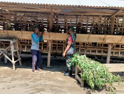 Babinsa Koramil Ponggok Laksanakan Pemantauan Dan Pengecekan Hewan Ternak Milik Warga Binaannya