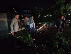 Hujan Deras Akibatkan Pohon Tumbang di Ciomas, Pihak Kepolisian Lakukan Rekayasa Arus Lalin