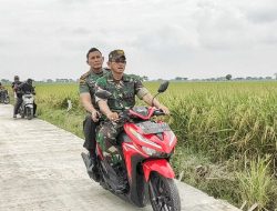 Gotong Royong Kunci Keberhasilan TMMD Ke 115 Tuntaskan Jalan Penghubung Antar Kampung