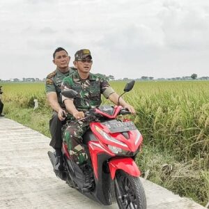 Gotong Royong Kunci Keberhasilan TMMD Ke 115 Tuntaskan Jalan Penghubung Antar Kampung