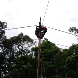 Tekan Potensi Terjadinya Gangguan Listrik, Ini yang Dilakukan PLN UP3 Singkawang