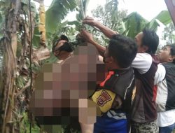 Polsek Caringin Polres Bogor Evakuasi Korban Tersengat Listrik di Atas Pohon