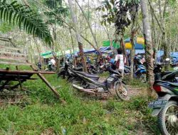 Masyarakat Resah Aktifitas Ilegal Judi Sabung Ayam di Lengkenat Mulai Lagi, Berharap Ada Tindakan Tegas Dari APH