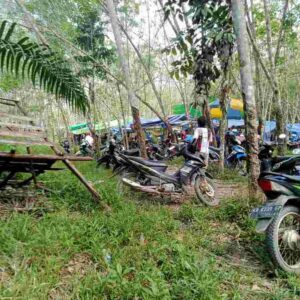 Masyarakat Resah Aktifitas Ilegal Judi Sabung Ayam di Lengkenat Mulai Lagi, Berharap Ada Tindakan Tegas Dari APH