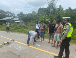 Waduh!!!,Seorang Wanita di Sekadau Jadi Korban Tabrak Lari