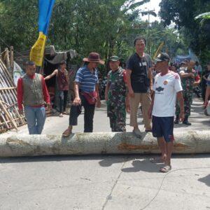 Polsek Ciawi Bersama Instansi Terkait Evakuasi Pohon Setinggi 20 Meter Yang Tumbang Hingga Tutup Akses Warga