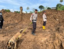 Kabid Humas Polda Jabar : Ketangkasan K9 Polri Beraksi Dengan Insting Dan Penciumannya